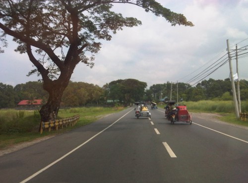 IMG02491-20120511-0949