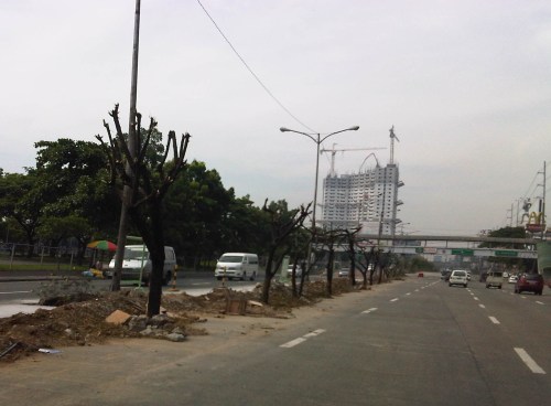 IMG02643-20120520-0904