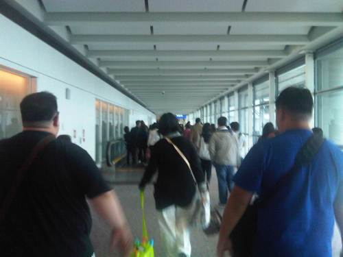 IMG05010-20121203-1023