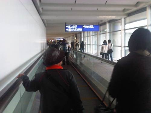 IMG05011-20121203-1023