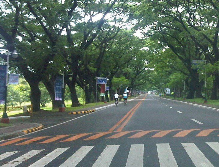 IMG03101-20120612-1058