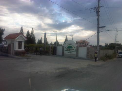 IMG04801-20121109-1559