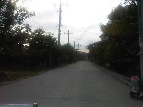 IMG04804-20121109-1601