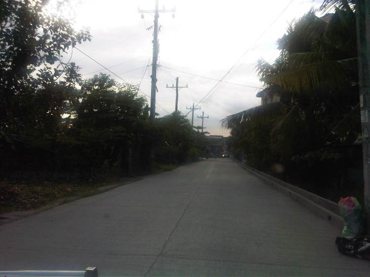 IMG04804-20121109-1601