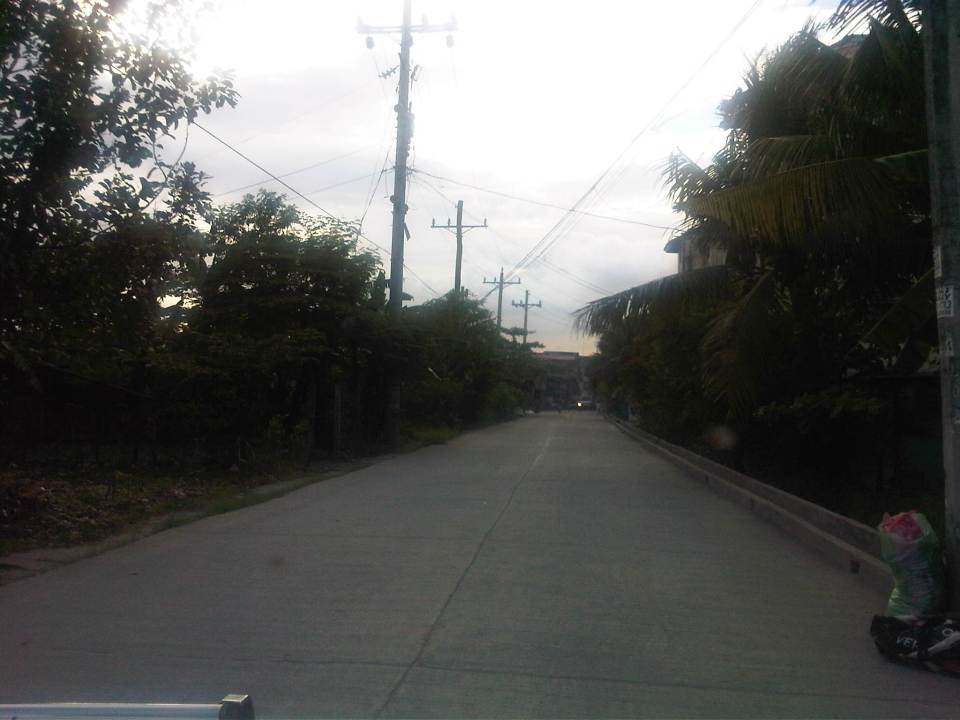 IMG04804-20121109-1601