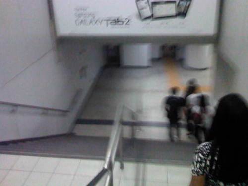 IMG04863-20121115-1007