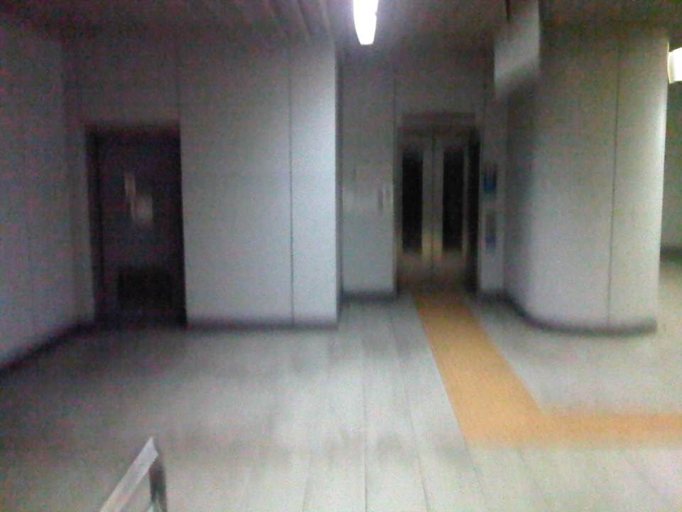 IMG04864-20121115-1007