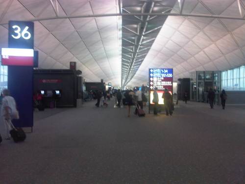 IMG05147-20121206-1700