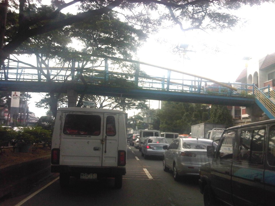 IMG04710-20121109-1109