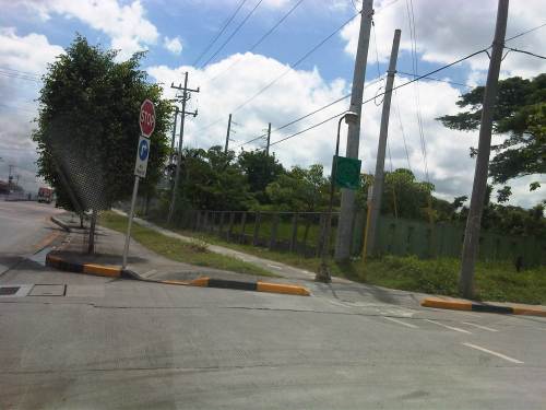 IMG06119-20130531-1027