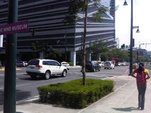 IMG06117-20130531-0944