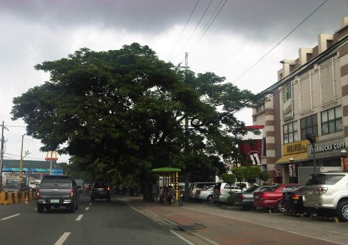 IMG06409-20130713-0951