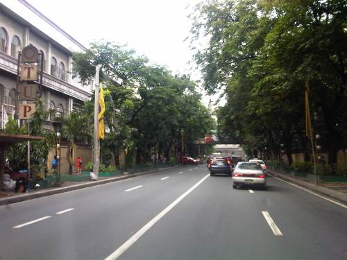 IMG06429-20130717-0939