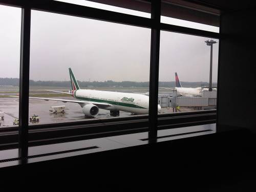 IMG06509-20130729-1300