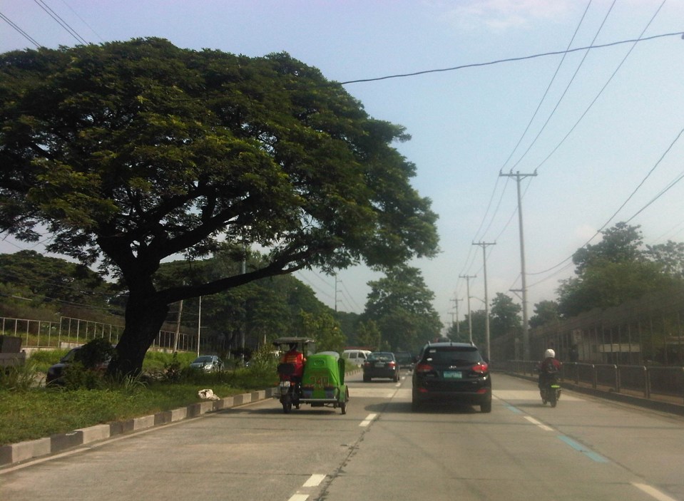 IMG06669-20130905-0855