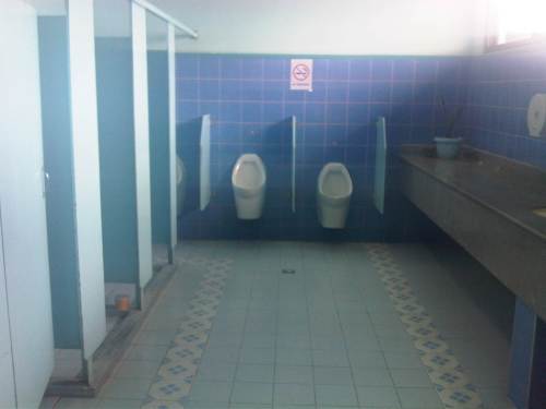 IMG06739-20130919-0947