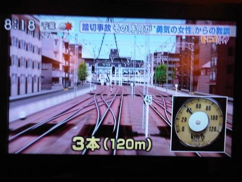 IMG07104-20131007-0818