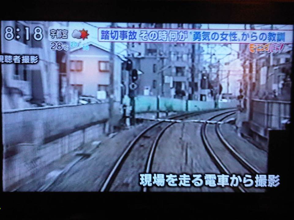 IMG07105-20131007-0818