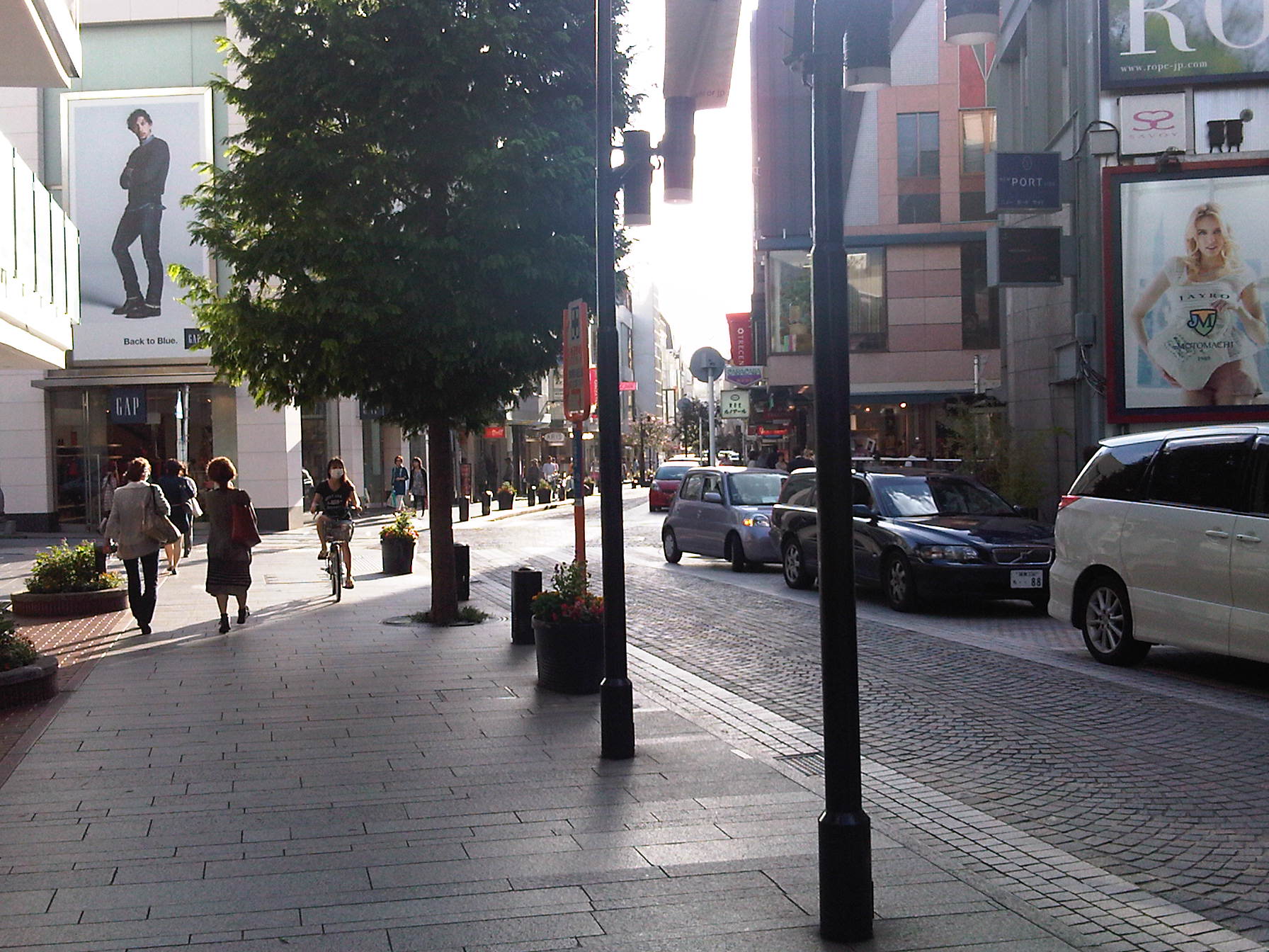 IMG07153-20131009-1552