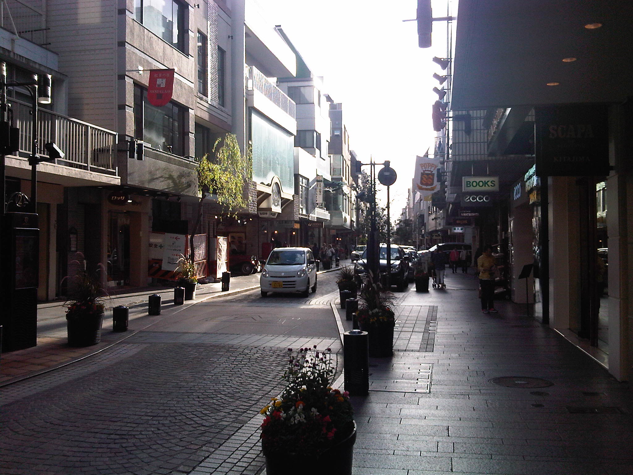 IMG07155-20131009-1554