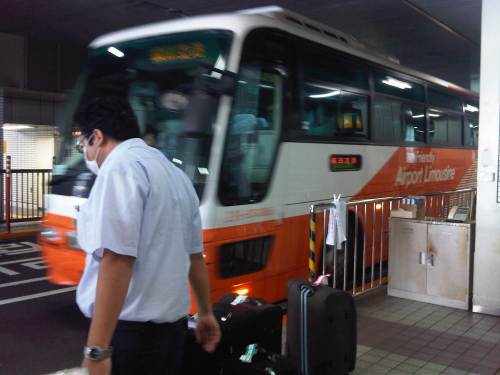 IMG07169-20131011-1155