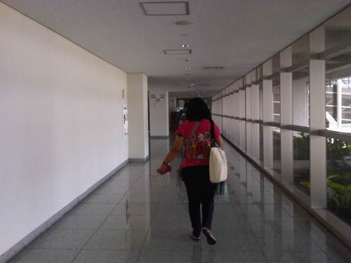 IMG07242-20131023-0919