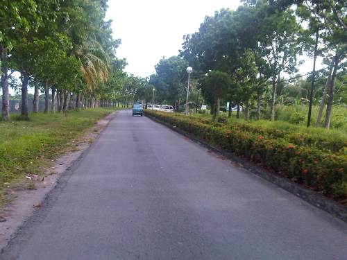 IMG06001-20130425-1531