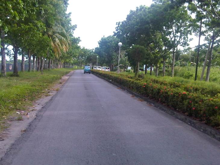 IMG06001-20130425-1531