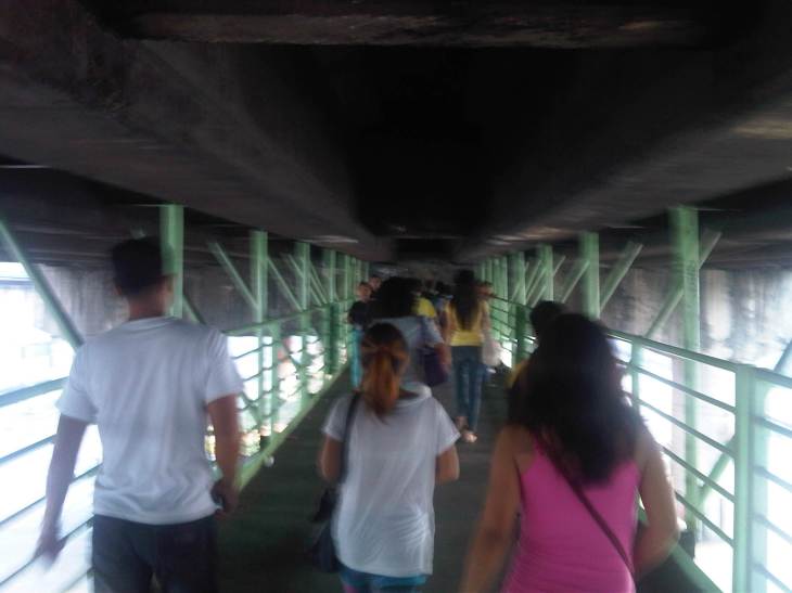 IMG07036-20131005-1624