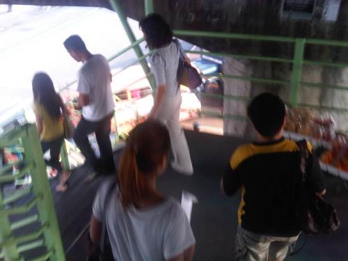 IMG07037-20131005-1624