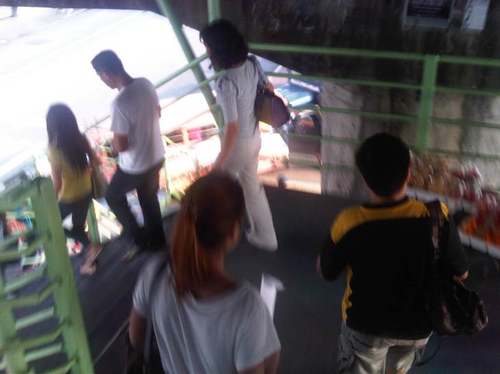 IMG07037-20131005-1624