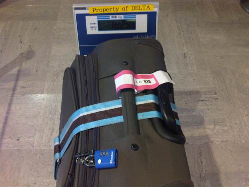 IMG07176-20131011-1347