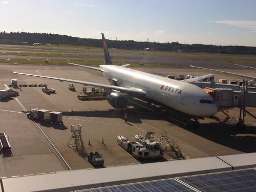 IMG07188-20131011-1440