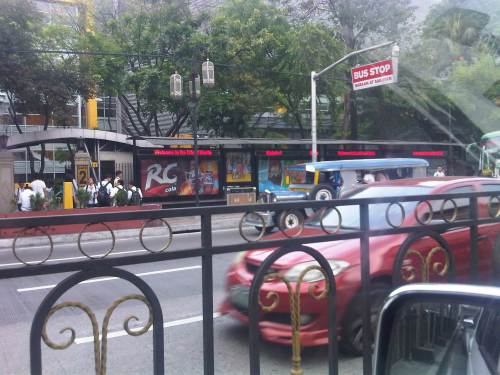 IMG07833-20140306-1402