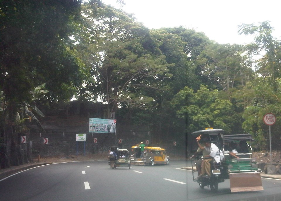 IMG07841-20140310-1218