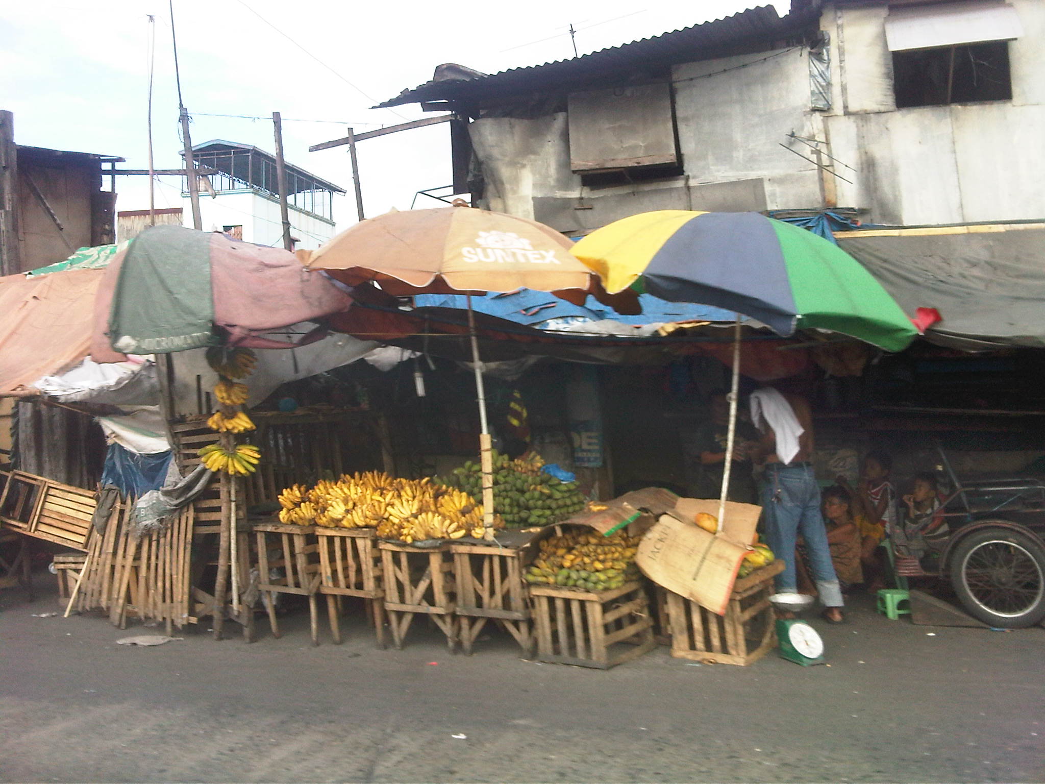 IMG07925-20140321-1524