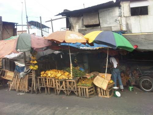 IMG07925-20140321-1524