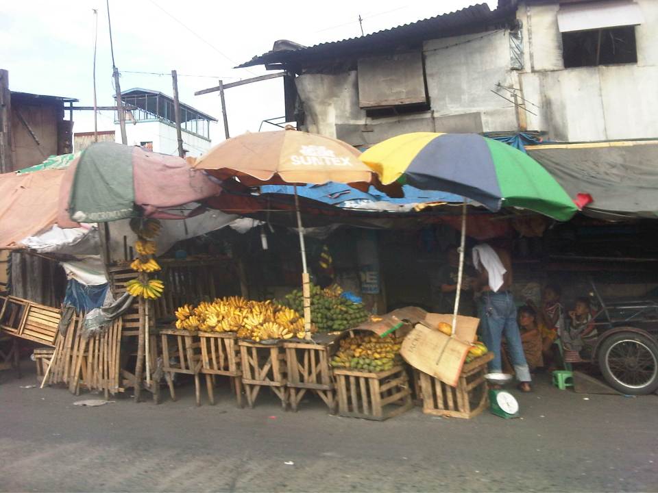 IMG07925-20140321-1524