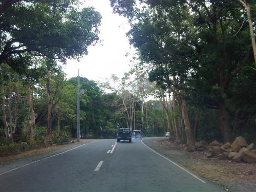 IMG08002-20140417-0940