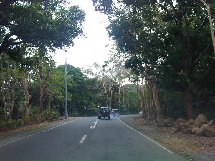 IMG08002-20140417-0940