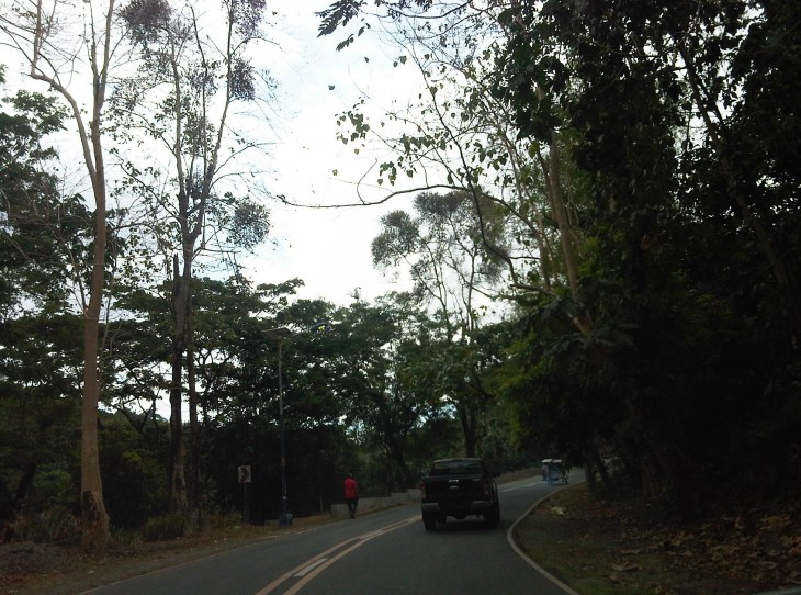 IMG08003-20140417-0941