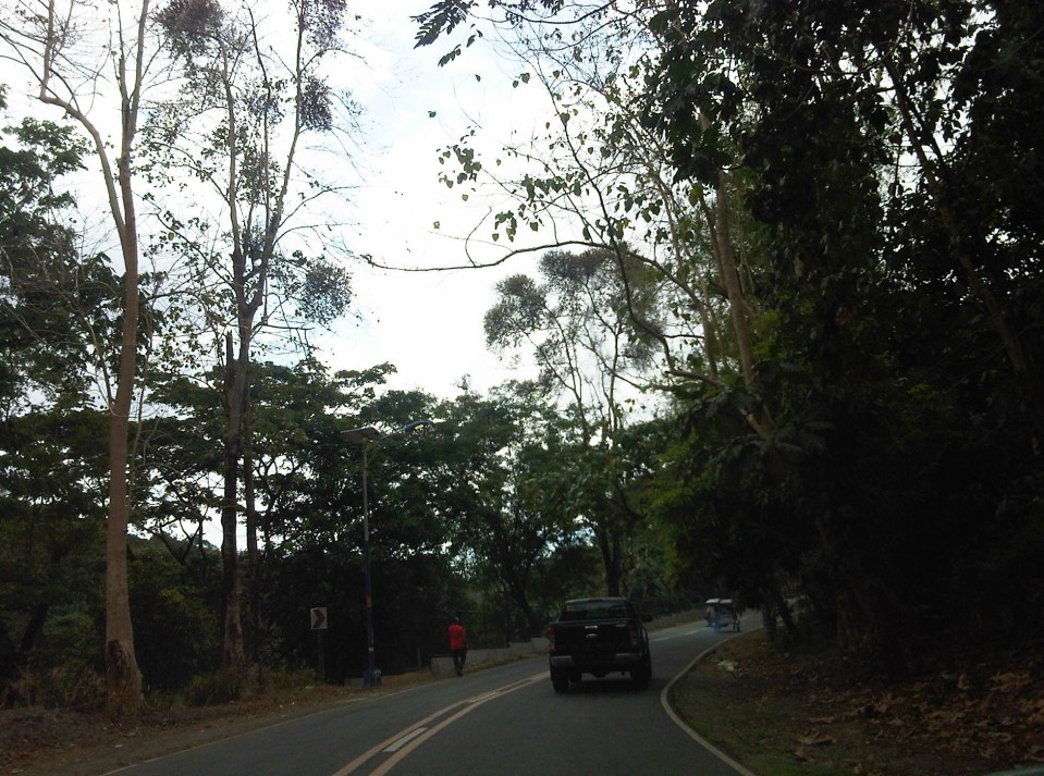 IMG08003-20140417-0941