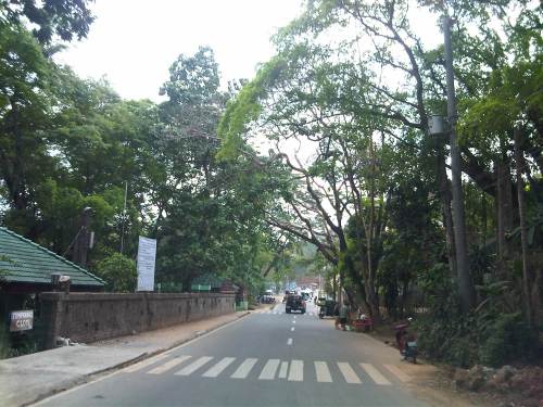 IMG08004-20140417-0941