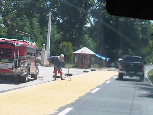 IMG08322-20140513-1306