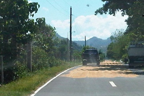 IMG08343-20140513-1348