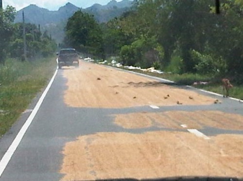 IMG08344-20140513-1348