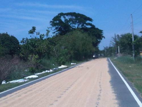 IMG08345-20140513-1348