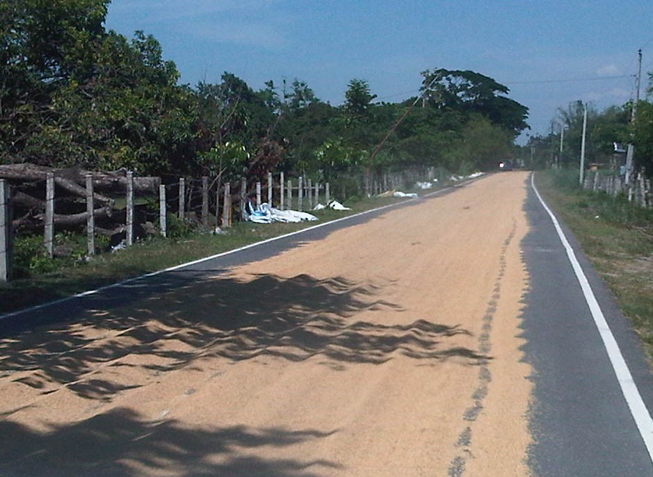 IMG08346-20140513-1348