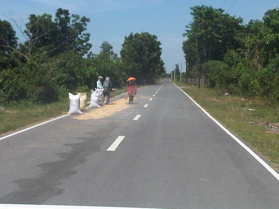 IMG08347-20140513-1350