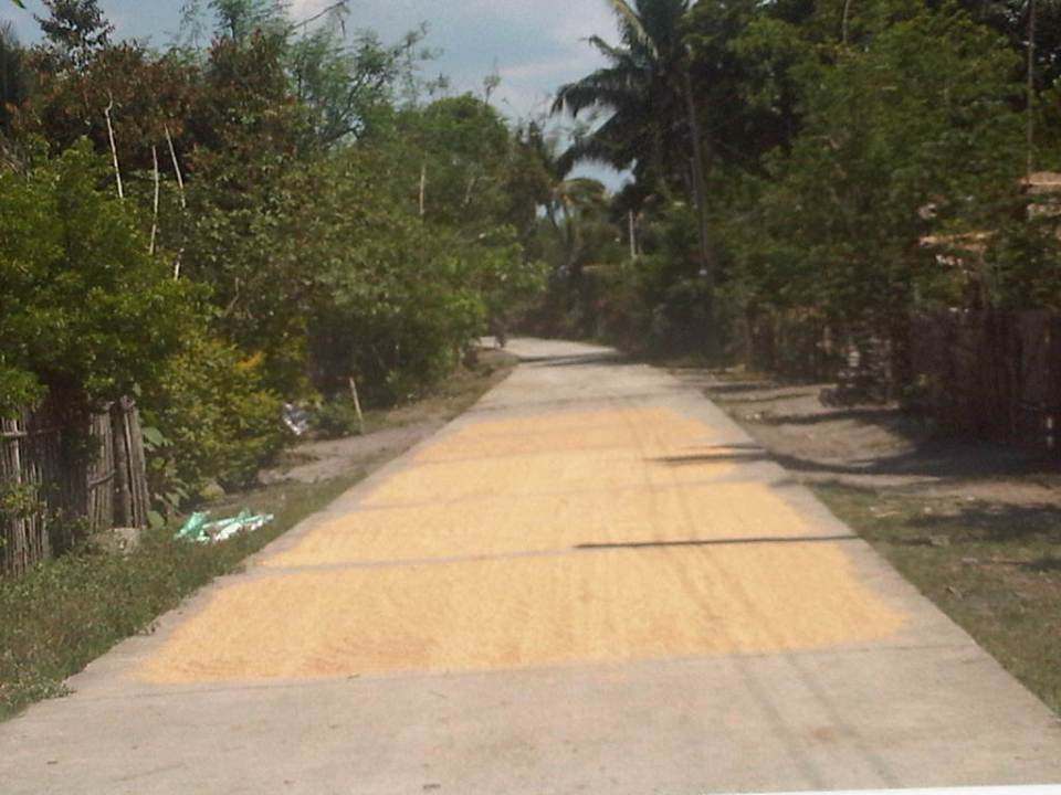 IMG08372-20140513-1401